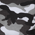 Winter Camo
