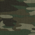 Army Camo