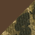 Brown/ Mossy Oak New Break Up