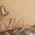 Realtree  MAX-5/ Tan/ Bass