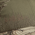 Realtree Xtra/ Seamoss/ Pheasant