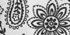 White Paisley