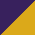 Purple/ Gold