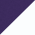 Purple/ White
